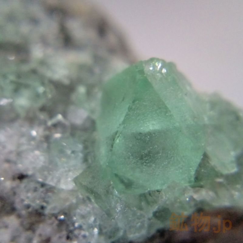 鉱物.jp / グリーンフローライトミニクラスター/蛍石 鉱物標本 1個